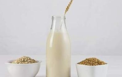燕麦奶是乳制品吗,燕麦奶是奶吗
