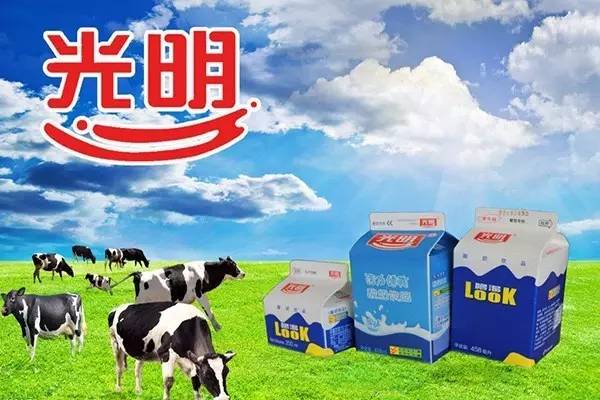 世界那么大，我哪也不想去，只想和上海乳品碰杯